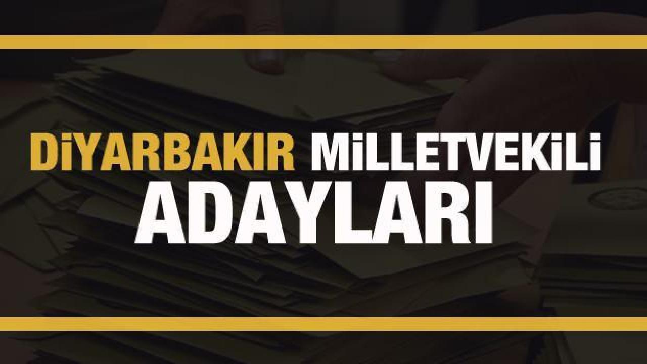diyarbakir-milletvekili-adaylari-parti-parti-tam-liste-2023-y3KfyOTl.jpg
